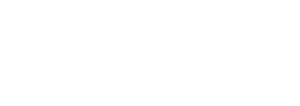 Zircon Consultants White Logo